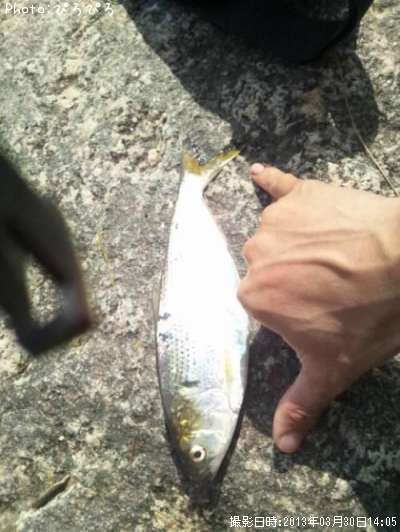 ���Υ���