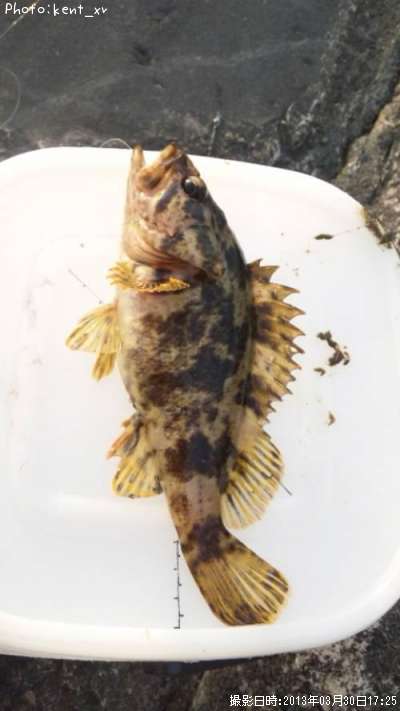 �����Υ���Х�