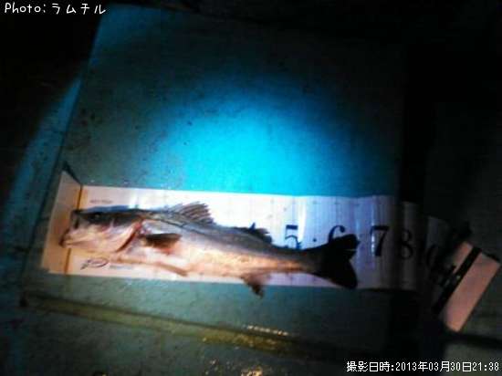 �����Х�