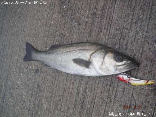 �����Х�