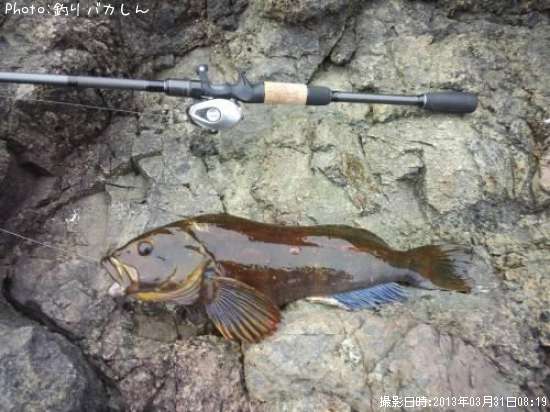 �����ʥ�