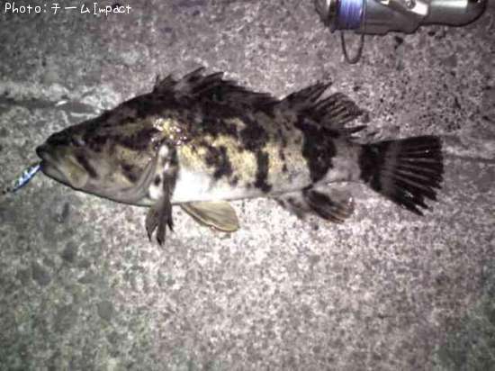 �����Υ���Х�