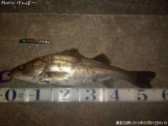 �����Х�