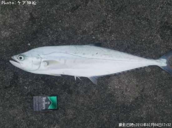 ΰ�奤�����ĥ�