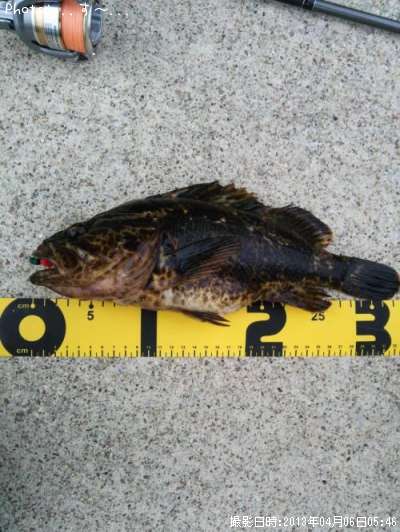 �����Υ���Х�