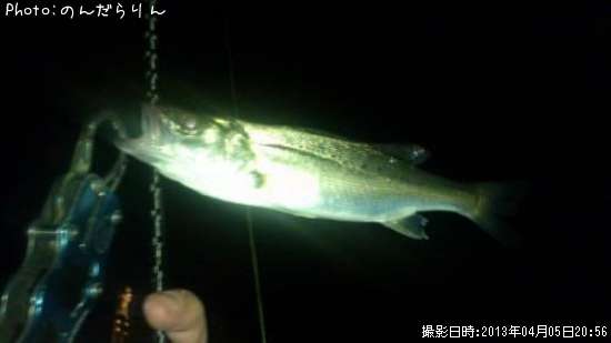 �����Х�