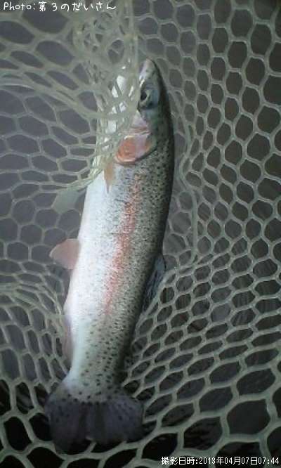 �쥤��ܡ��ȥ饦��