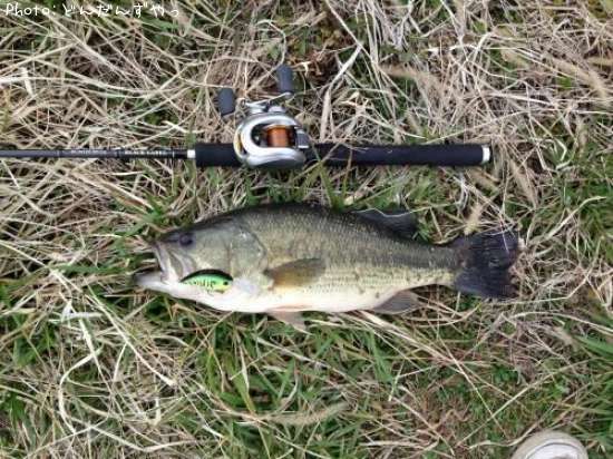 �֥�å��Х�