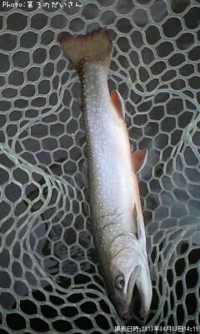 ���㥬���ȥ饦��