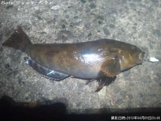 �����ʥ�