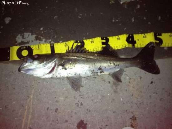 �����Х�