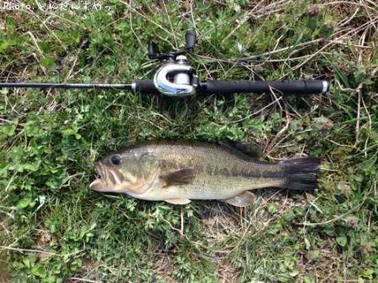 �֥�å��Х�