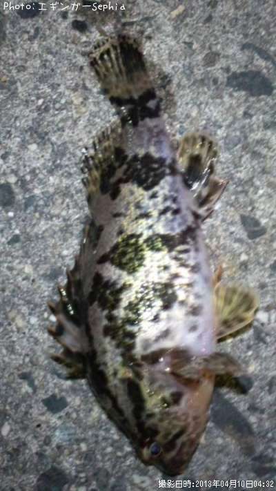 �����Υ���Х�