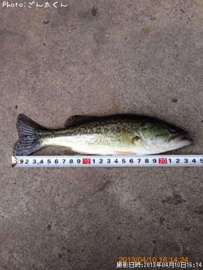 �֥�å��Х�