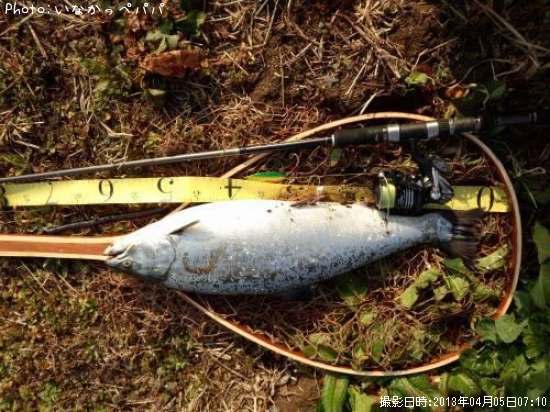 ������ޥ�