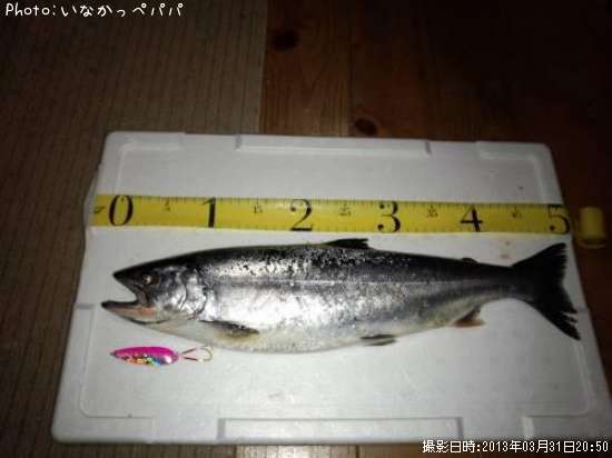 ������ޥ�