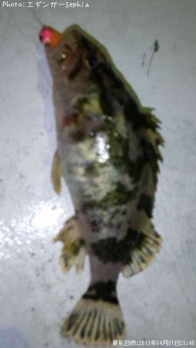 �����Υ���Х�