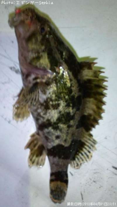 �����Υ���Х�