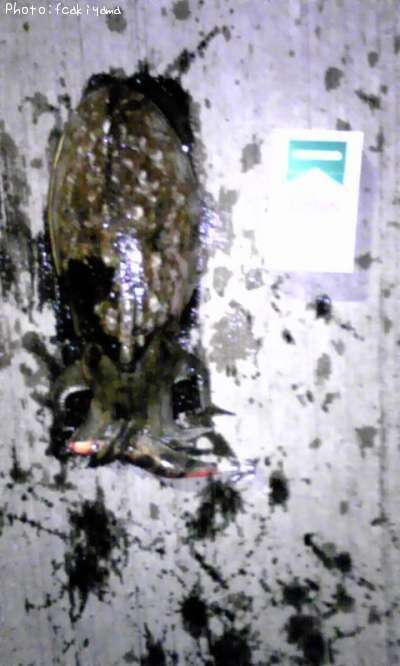 ��󥴥�����