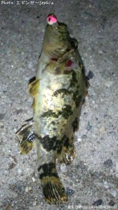 �����Υ���Х�