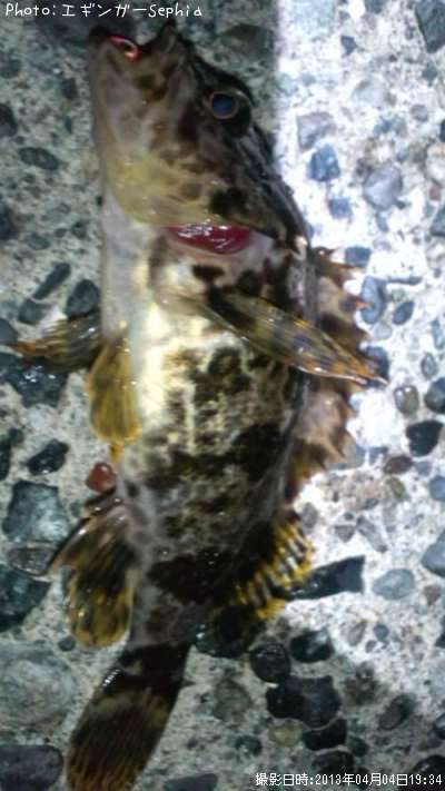 �����Υ���Х�