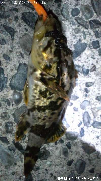 �����Υ���Х�