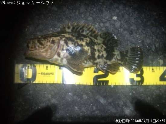 �٥å�������