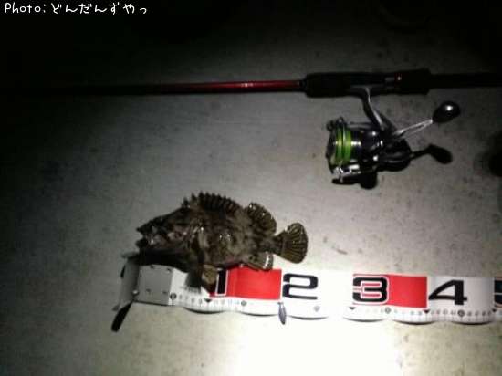 ���������饽��