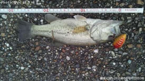 �֥�å��Х�