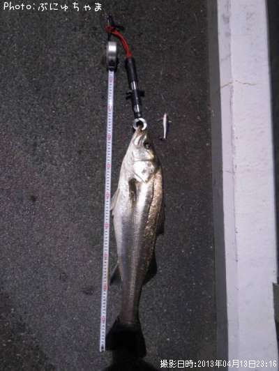 �����Х�