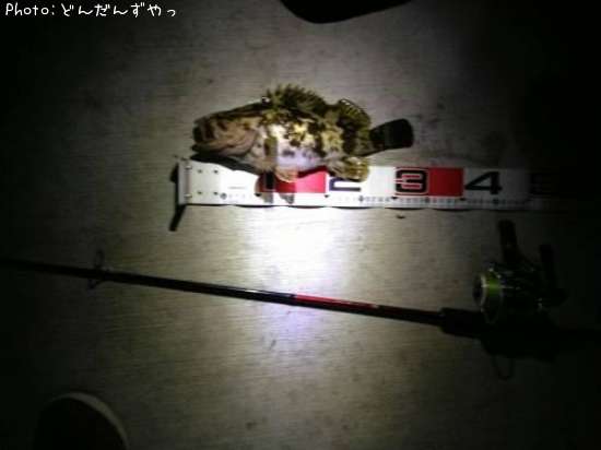 �����Υ���Х�