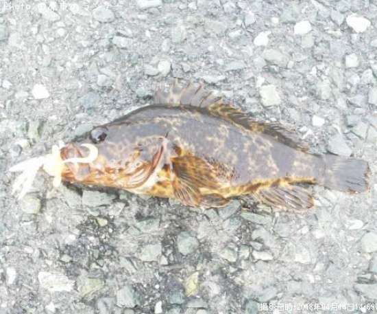 �����Υ���Х�