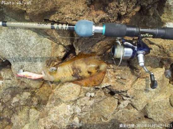 �����ꥤ��