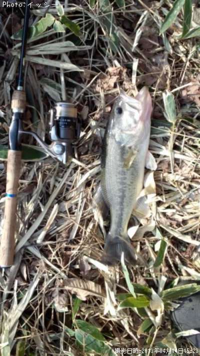 �֥�å��Х�