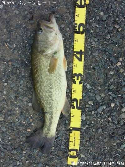 �֥�å��Х�