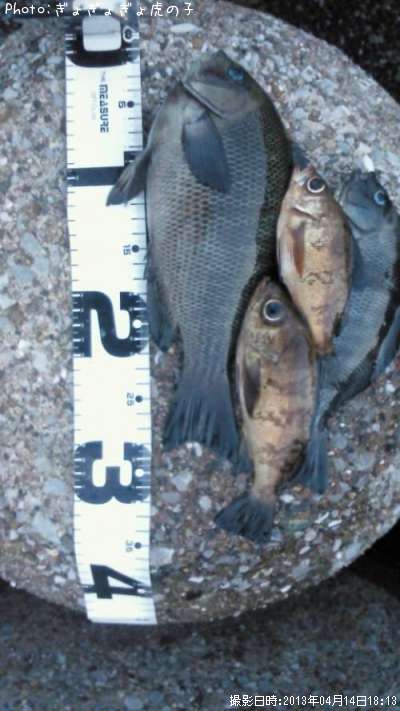 �᥸�ʡ���Х�