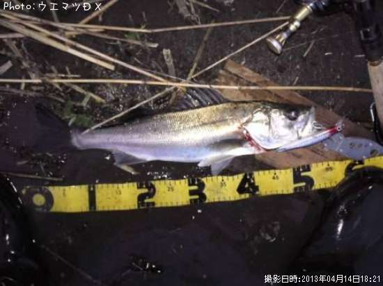 �����Х�