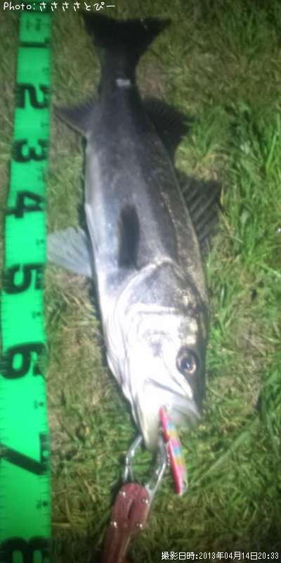 �����Х�