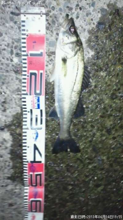 �����Х�