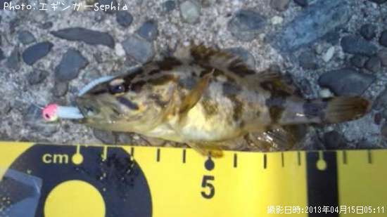 �����Υ���Х�