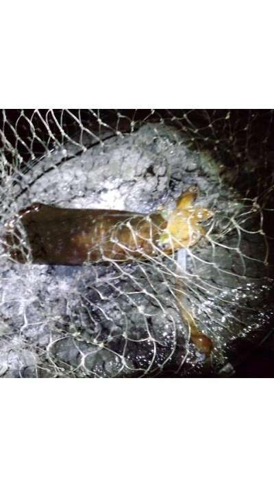 �����ꥤ��