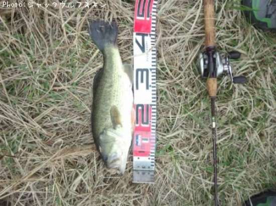 �֥�å��Х�