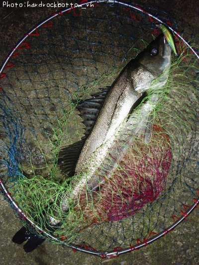 �����Х�