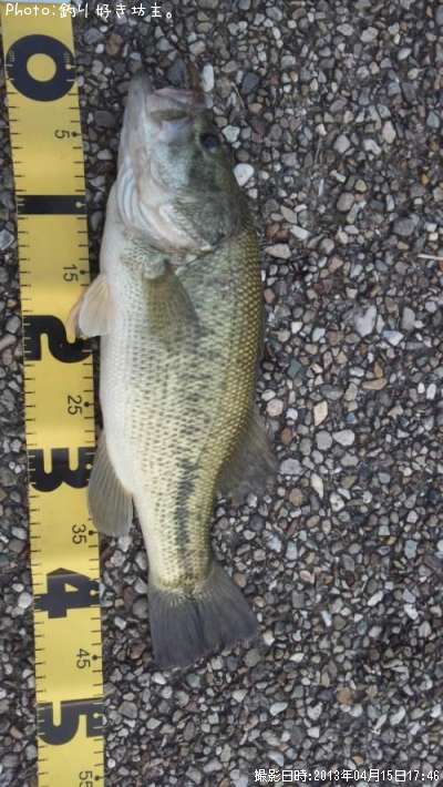 �֥�å��Х�