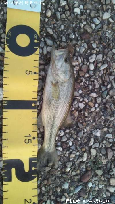 �֥�å��Х�