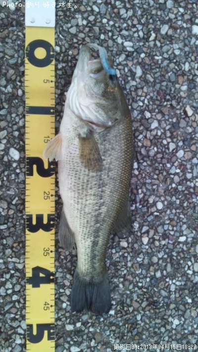 �֥�å��Х�