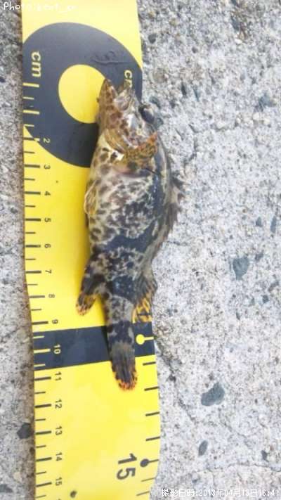 �����Υ���Х�