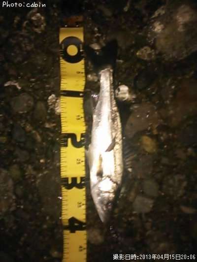 �����Х�