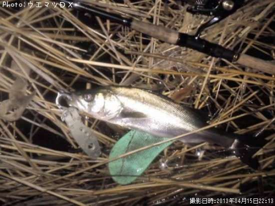 �����Х�