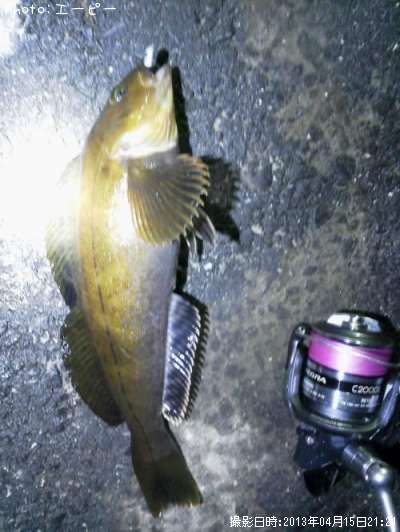 �����ʥ�